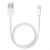 Apple Lightning / USB kabel ME291ZM / A - bílá - 0,5 m