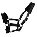 Padded Horse Halter 25mm - Size S - Black