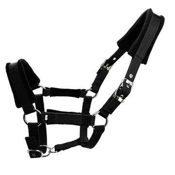 Padded Horse Halter 25mm - Size XS - Black