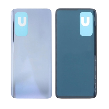 Xiaomi Mi 10t 5G/10t Pro 5G Back Cover - Silver