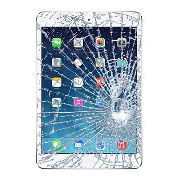 IPad Mini 2 Display Glass & Touch Oprava obrazovky