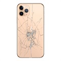 Oprava zpětného krytu pro iPhone 11 - pouze sklo - zlato
